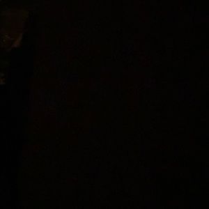 Meet your Posher, Lily